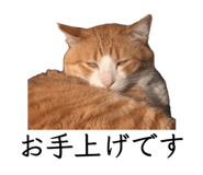 847738917