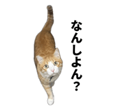 847738918