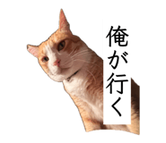 847738925