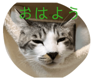 847738986