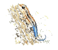 847744066