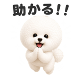 847751643