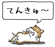 847752017