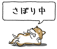 847752018