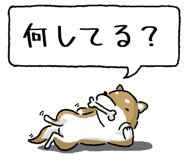 847752020