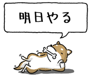 847752023