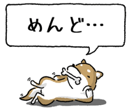 847752024