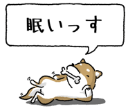 847752028
