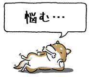 847752036