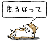847752038