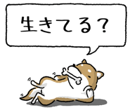 847752041