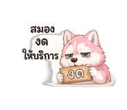 847755146