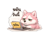 847755148