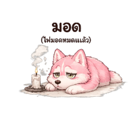 847755172