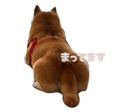 847757386
