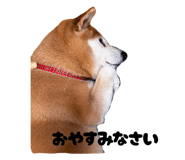 847757387