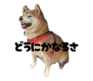 847757390
