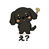 847762490
