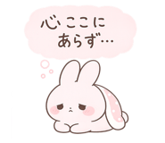 847765561