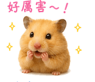 847767276