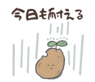 847767909