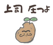 847767916