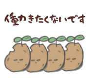 847767920