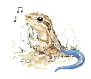 847770767