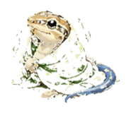 847770774
