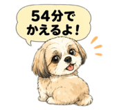 847770934