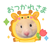 847772606