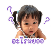847773113