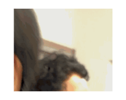 847784431