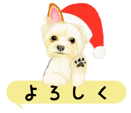 8478004