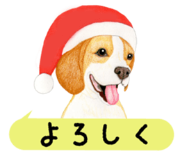 8478022