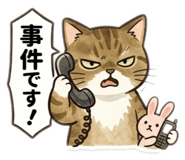 847805337