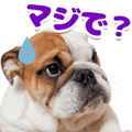 847836564