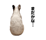 847837777