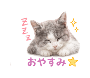 847840675