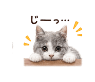 847840680