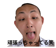 847868651