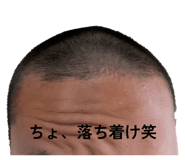 847868652