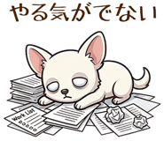 847872305
