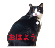 847900017
