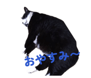 847900019