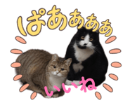 847900021