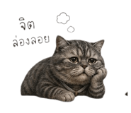 847923251