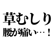 847928836