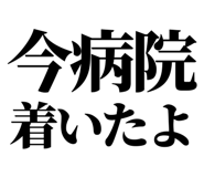 847929194