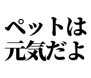 847929215